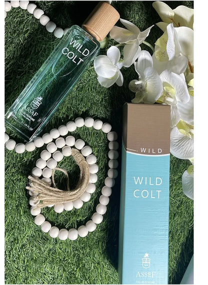 Asaff Wild Colt + Gris Erik | أساف وايلد كولت + جريس إريك